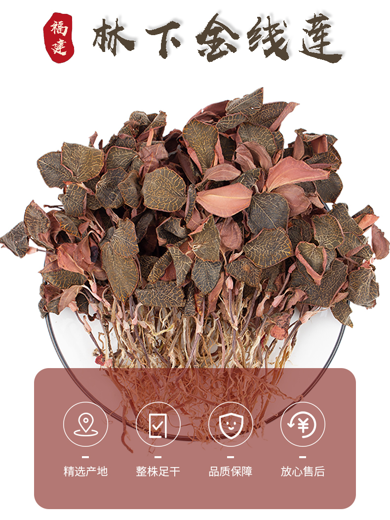 正宗林下<a href=http://swinimage.com/ target='_blank'>金線蓮</a>干品