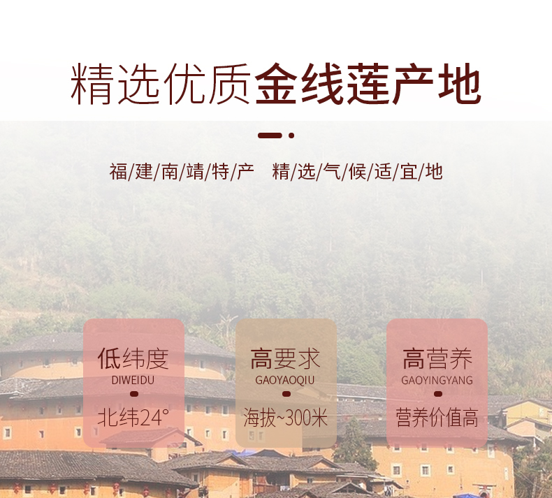 正宗林下<a href=http://swinimage.com/ target='_blank'>金線蓮</a>干品