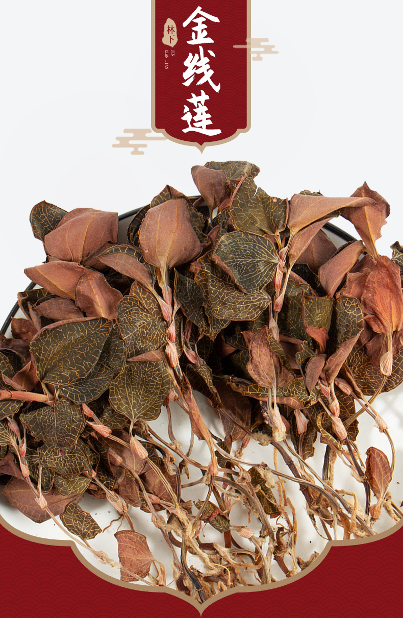 福建南靖<a href=http://swinimage.com/ target='_blank'>金線蓮</a>干品