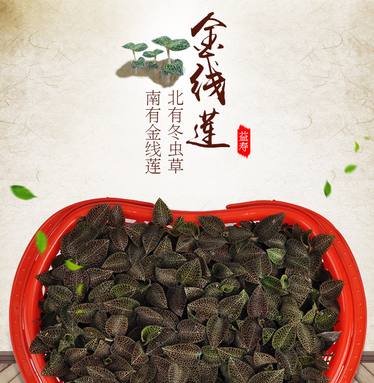 <a href=http://swinimage.com/ target='_blank'>金線蓮</a>鮮品 籃裝