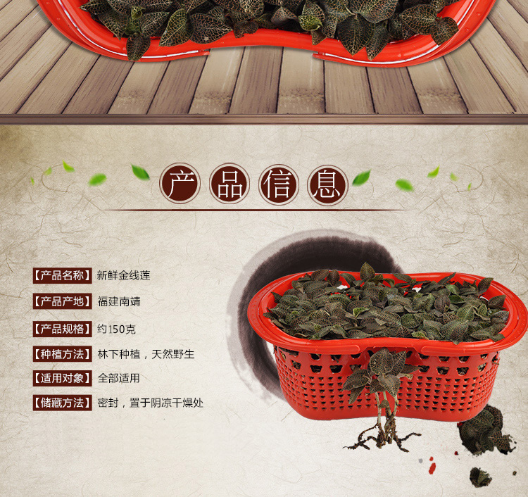 <a href=http://swinimage.com/ target='_blank'>金線蓮</a>鮮品 籃裝